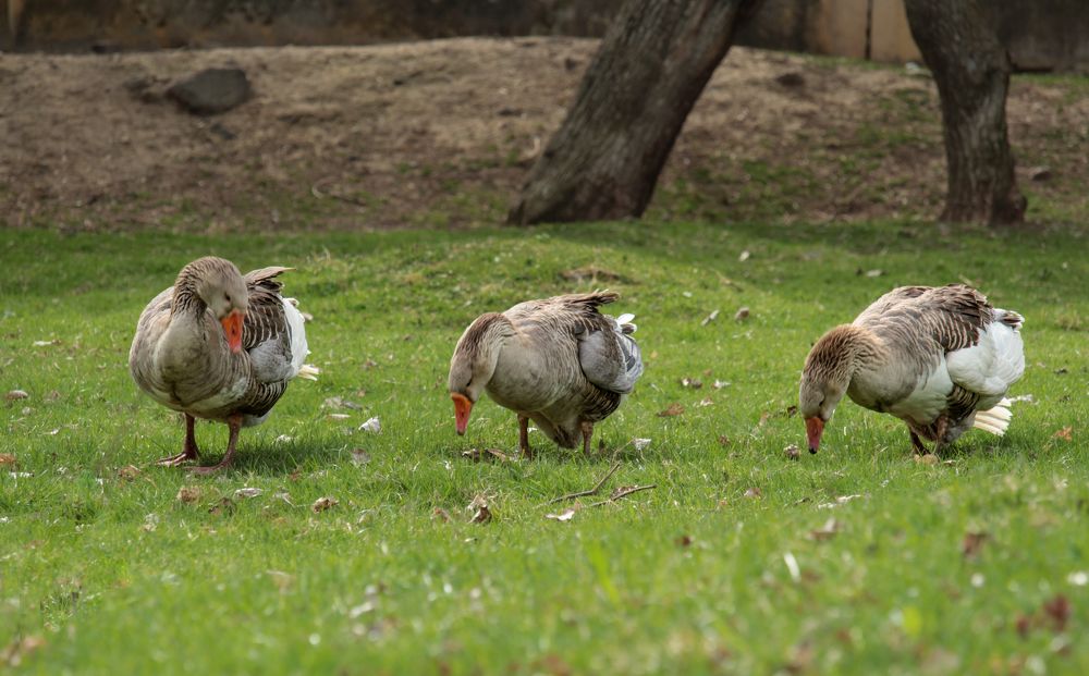 Photograph by Alexandra Chalova