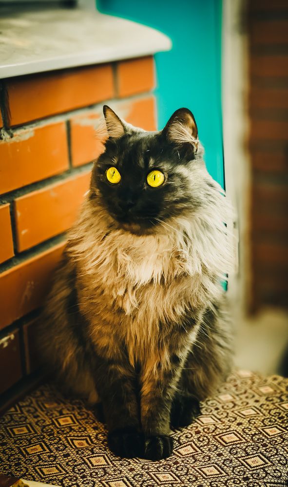 Photograph by Екатерина Алимова