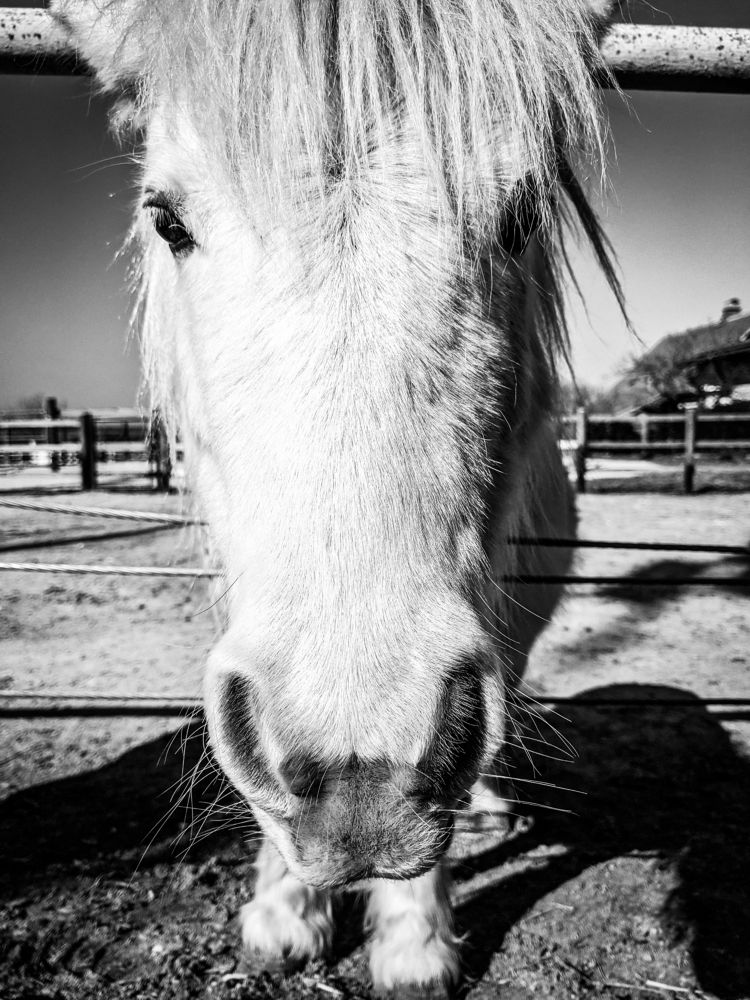 Photograph by Jernej Tratnik