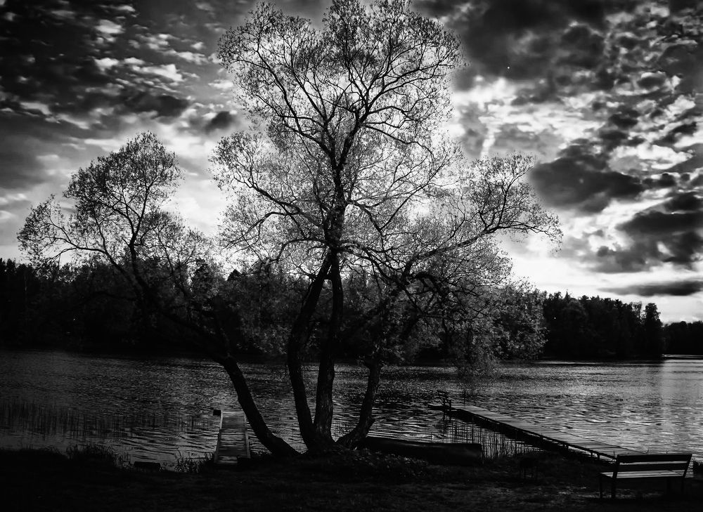 Photograph by Екатерина Алимова