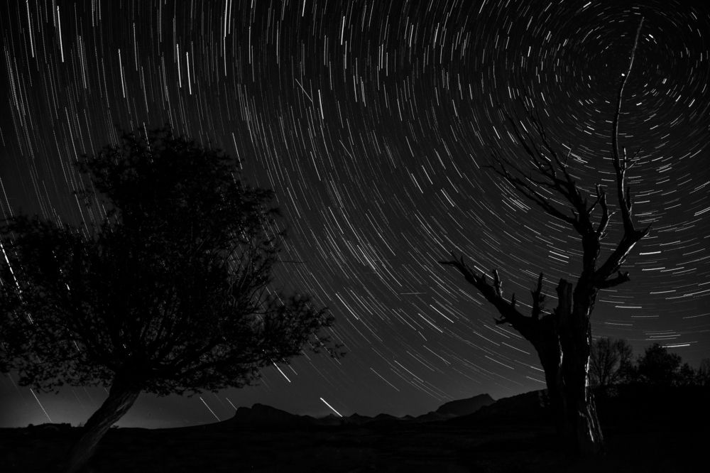 Photograph by Safoura Pourpirali