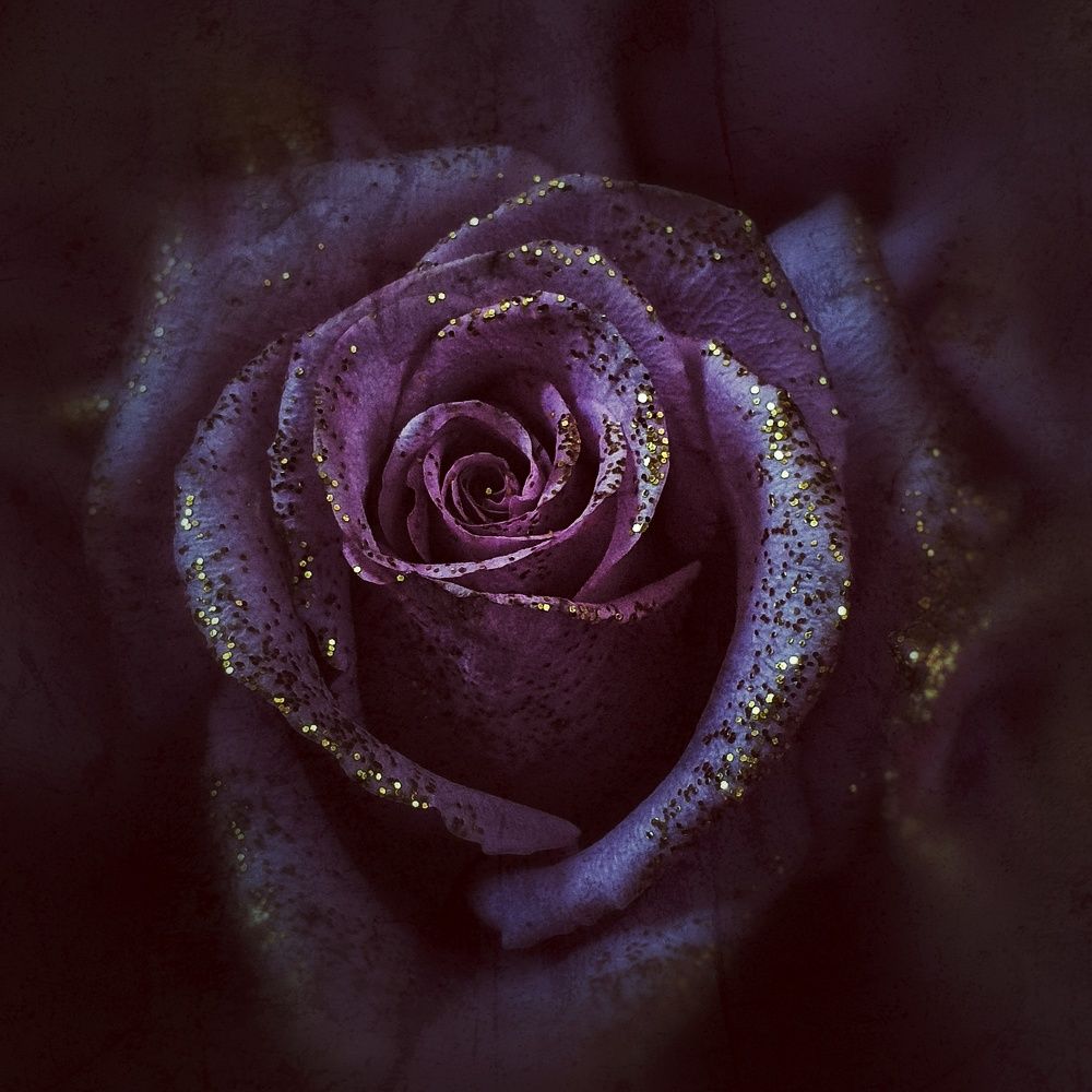 Photograph by Нина Москалёва