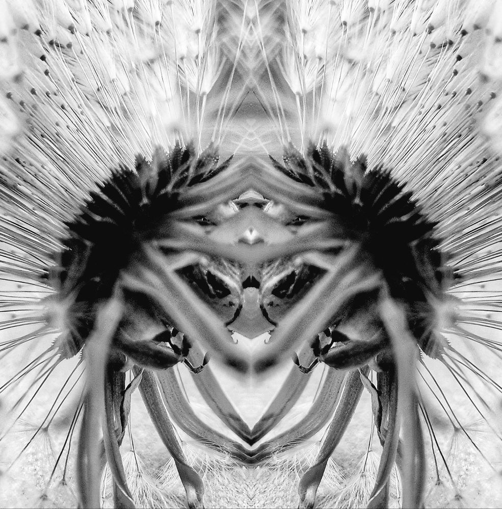 Photograph by Нина Москалёва