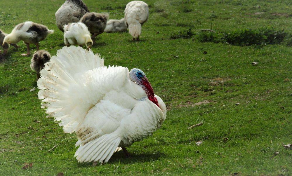 Photograph by Alexandra Chalova