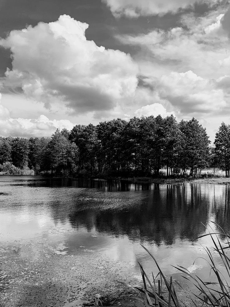 Photograph by Elena Lukashina