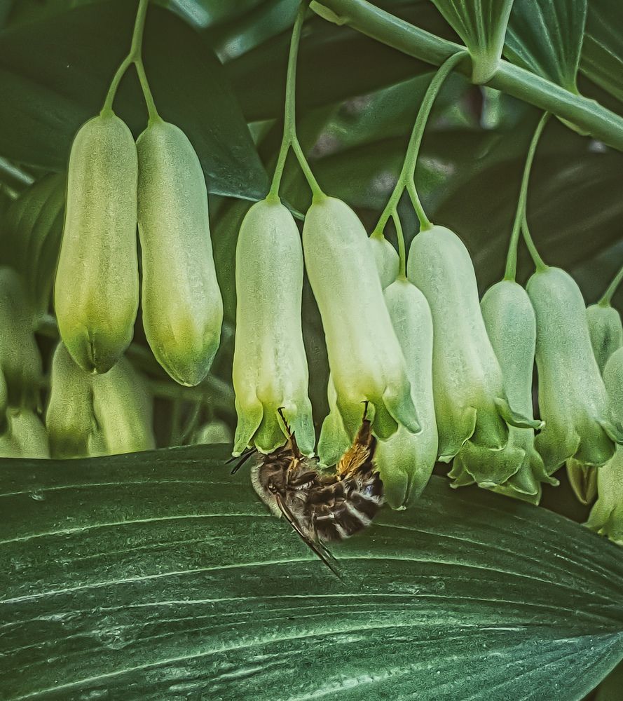 Photograph by Нина Москалёва