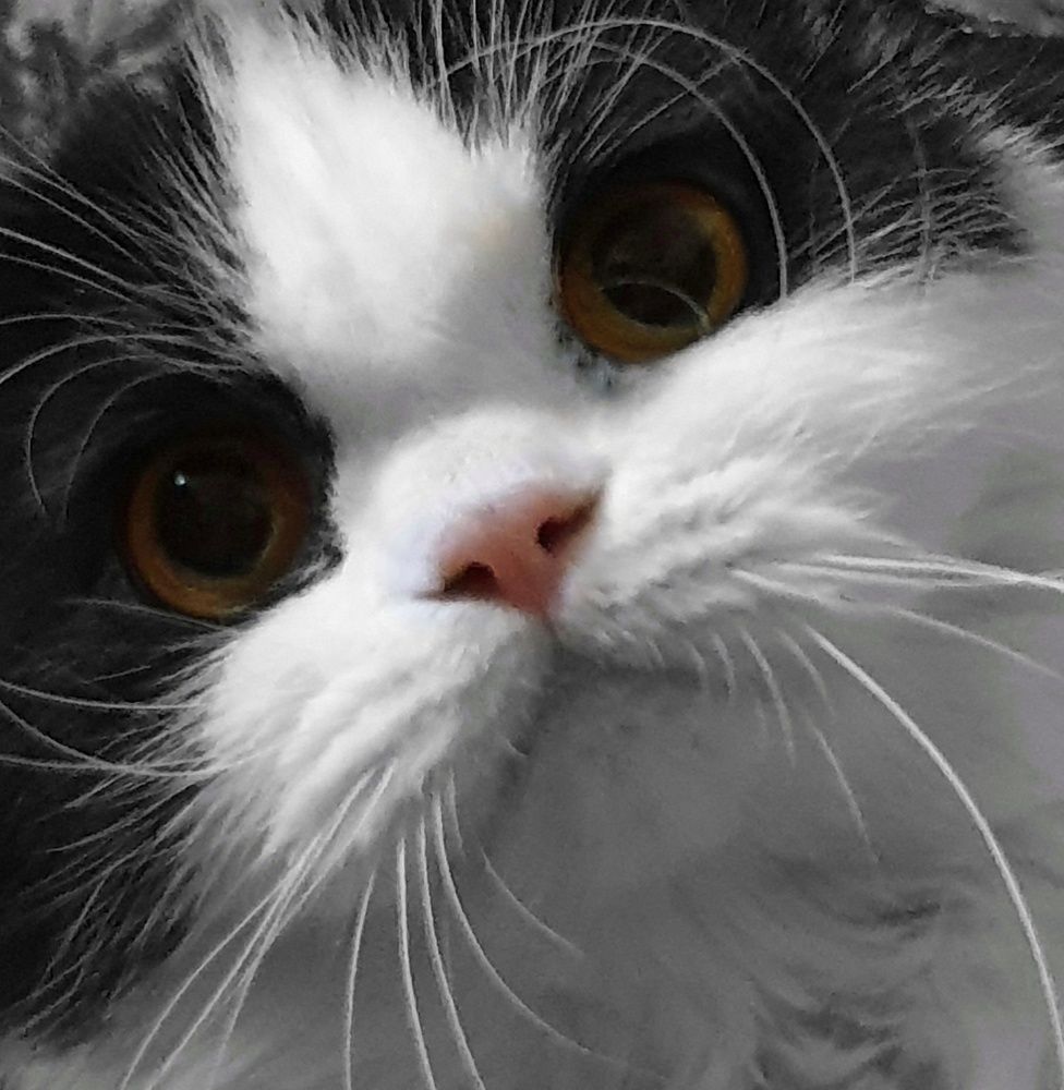 Photograph by Нина Москалёва