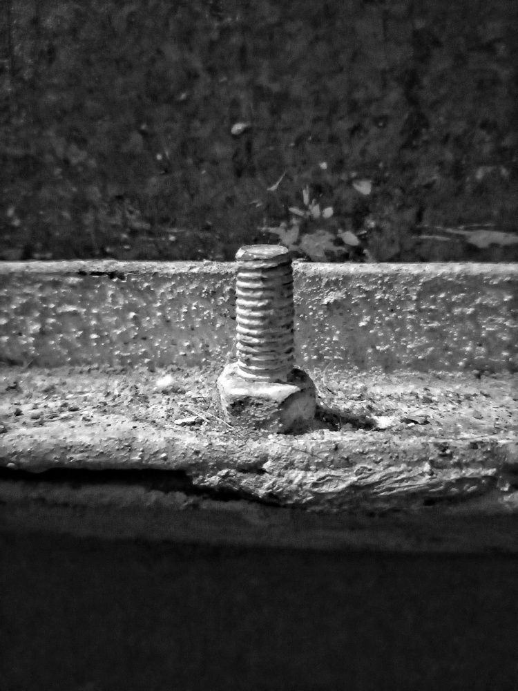 Photograph by Станислава