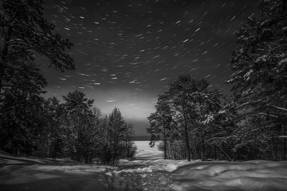 Photograph by Gureva Elena