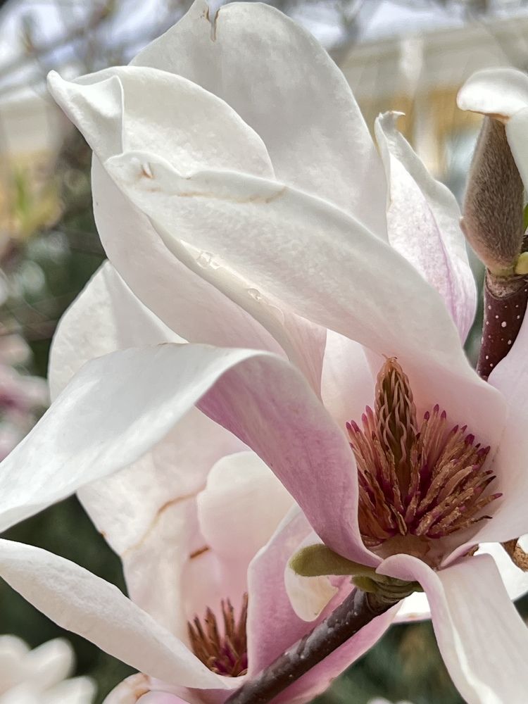 Photograph by Ольга Сизонюк