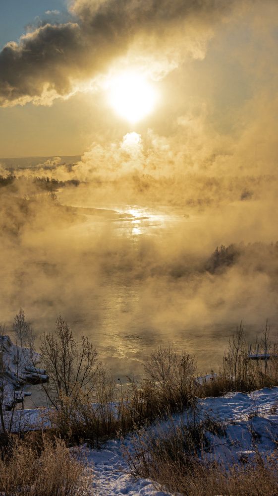 Photograph by Анастасия Карнаухова