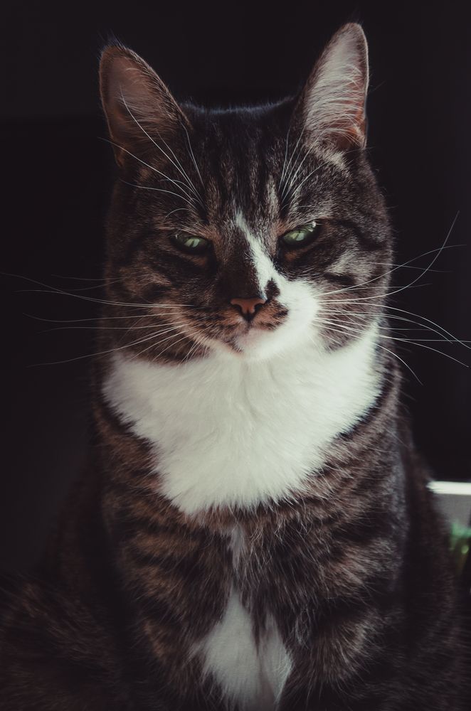 Фотография автора Людмила Яковлева