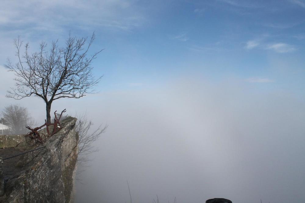 Фотография автора César Carrion