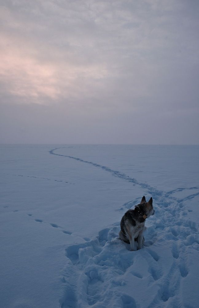 Photograph by Виктор Чернышов