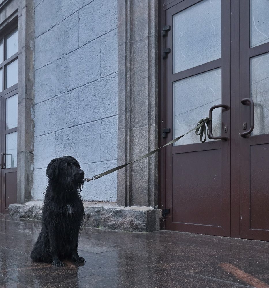 Photograph by Виктор Чернышов