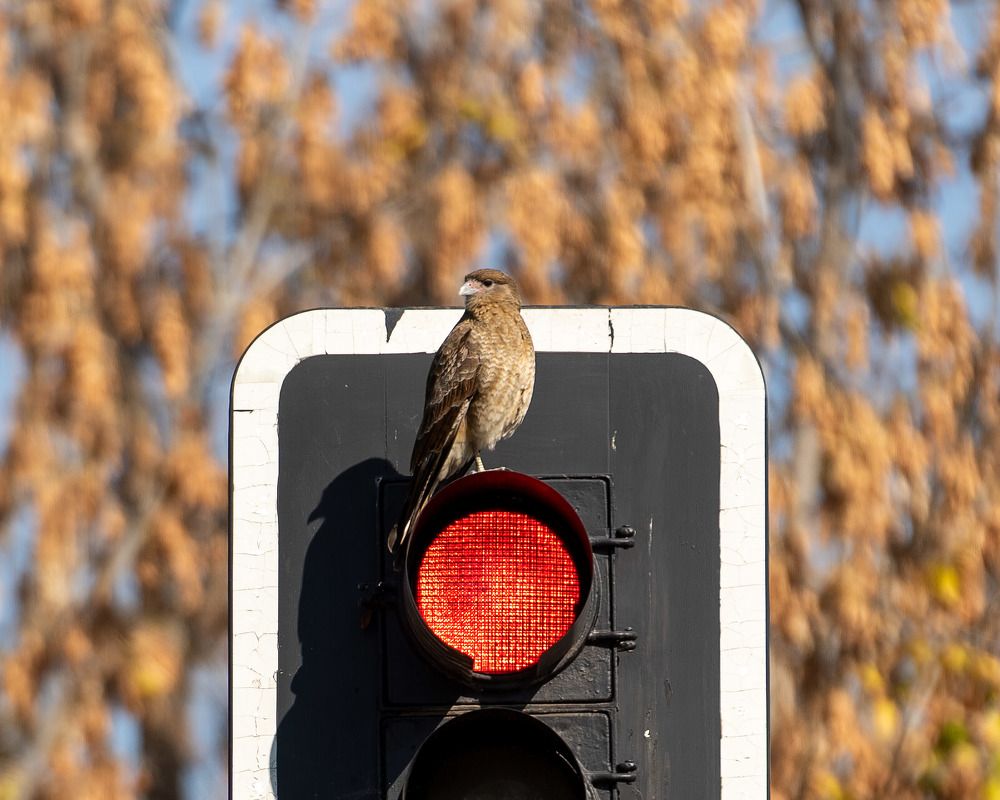 Photograph by Cifuentes Alejandro