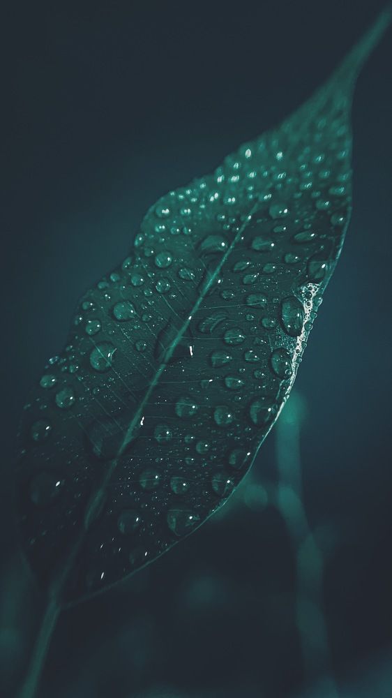 Photograph by Алеся