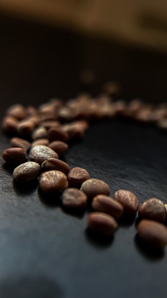 Photograph by Алеся