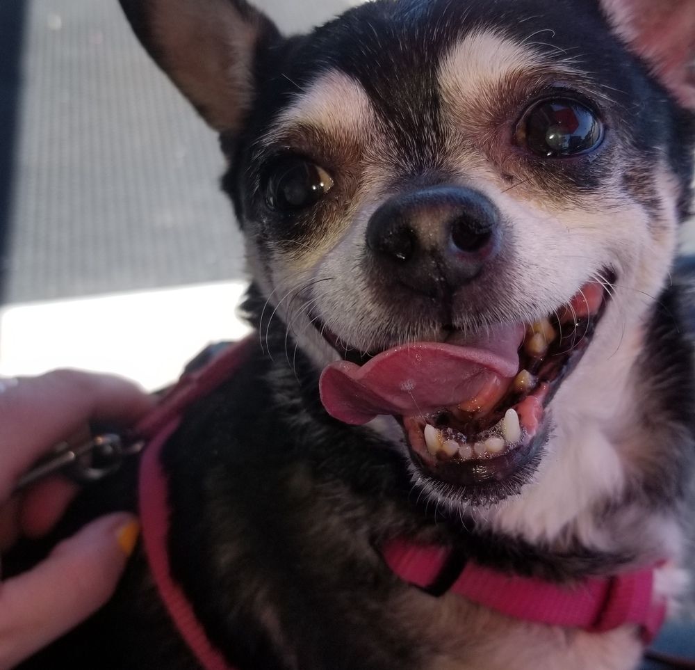 Photograph by Michelle Vaughn