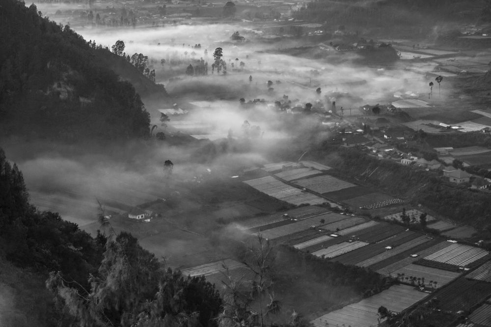 Photograph by dewa putra