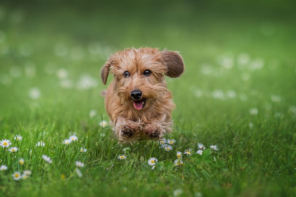 Photograph by Мария Мадзик