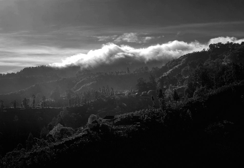 Photograph by dewa putra