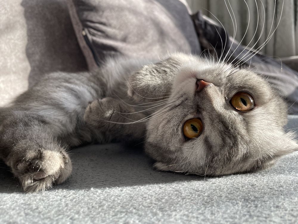 Photograph by Ольга Игумнова