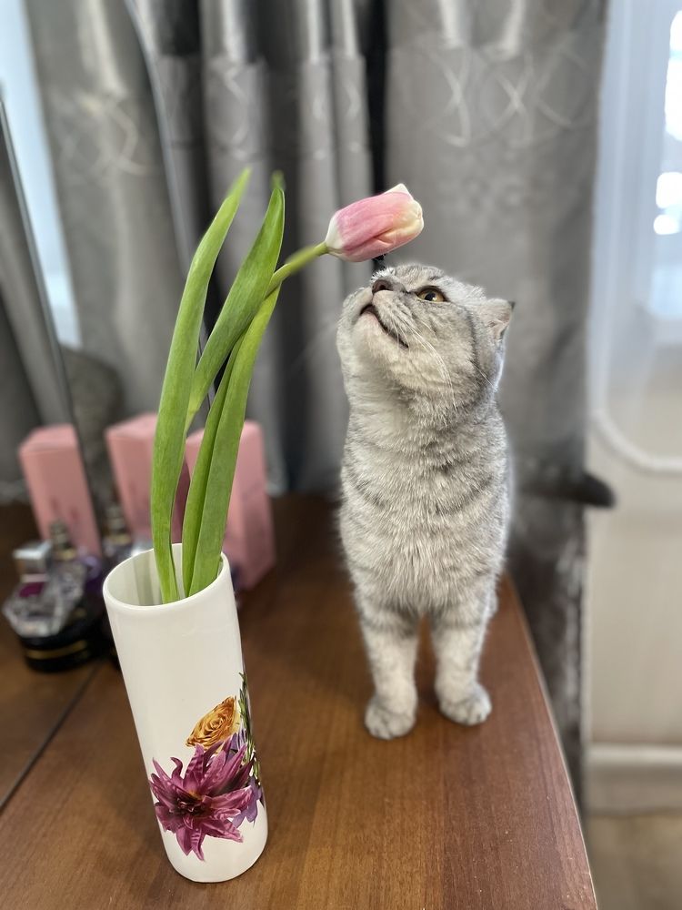 Photograph by Ольга Игумнова