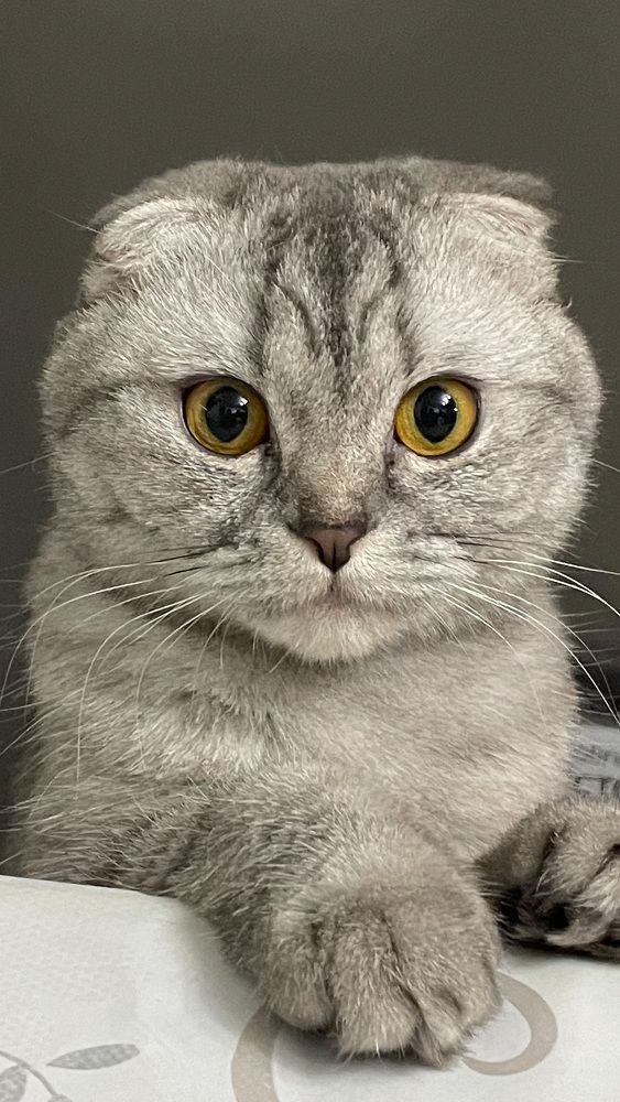 Photograph by Ольга Игумнова