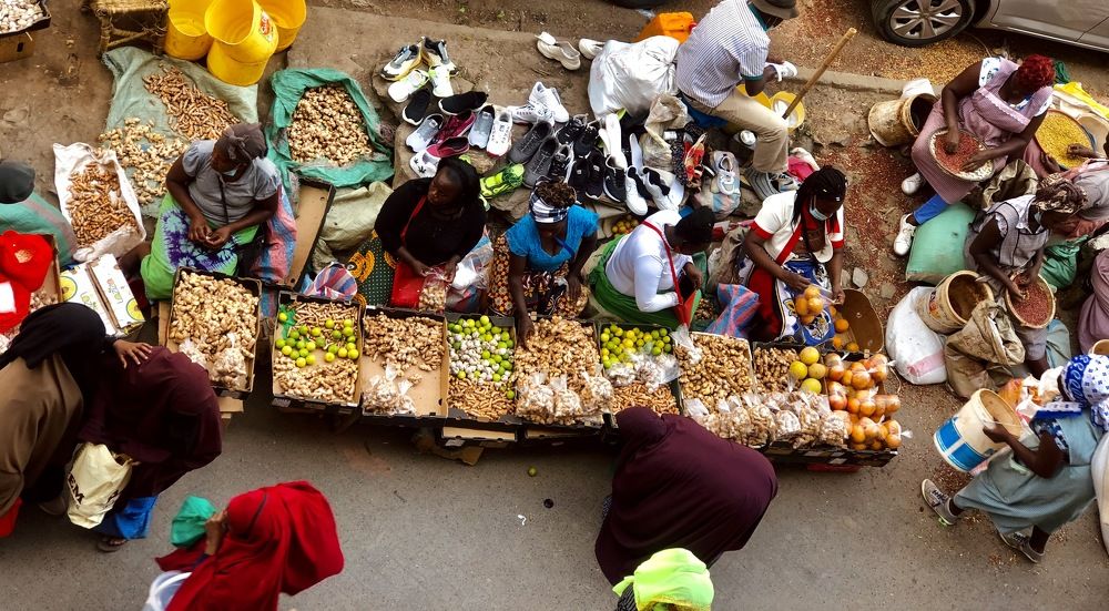 Photograph by Antony Trivet