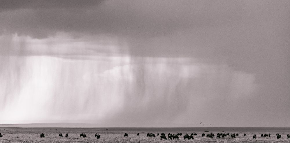 Photograph by Antony Trivet