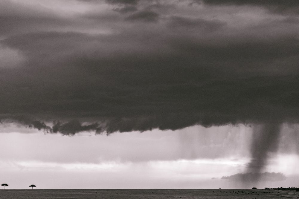 Photograph by Antony Trivet