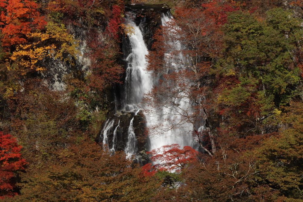 Photograph by Se Lena