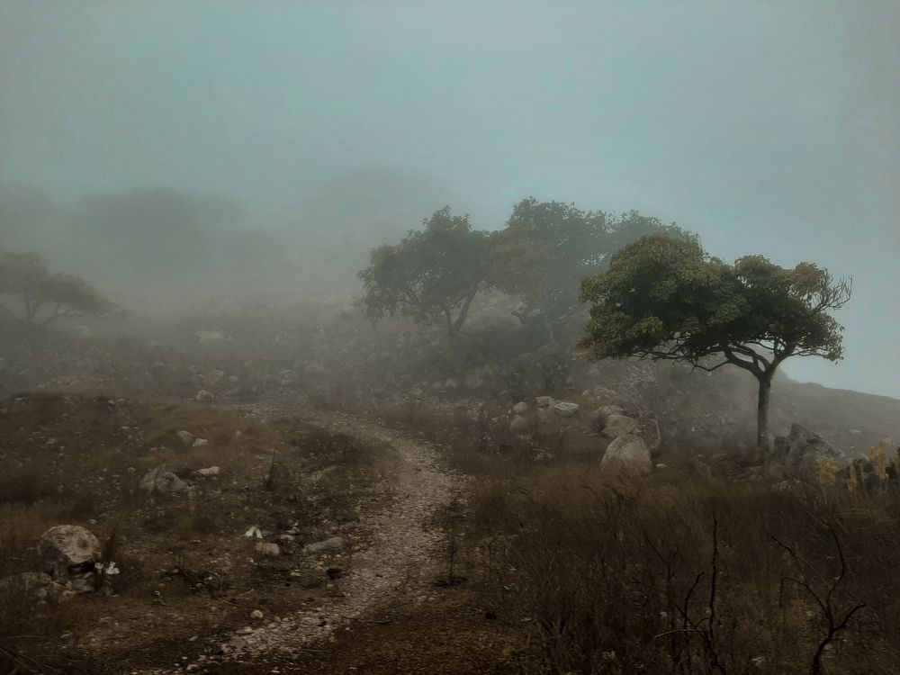 Photograph by Castellanos Victoria