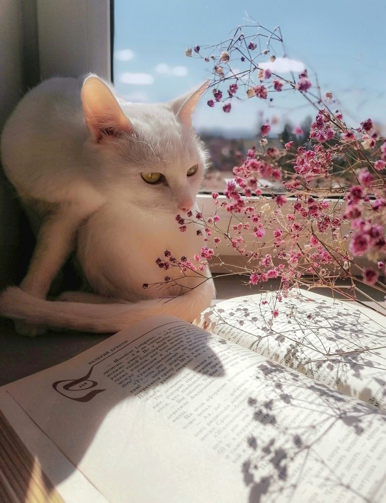 Photograph by Светлана Шелухеева