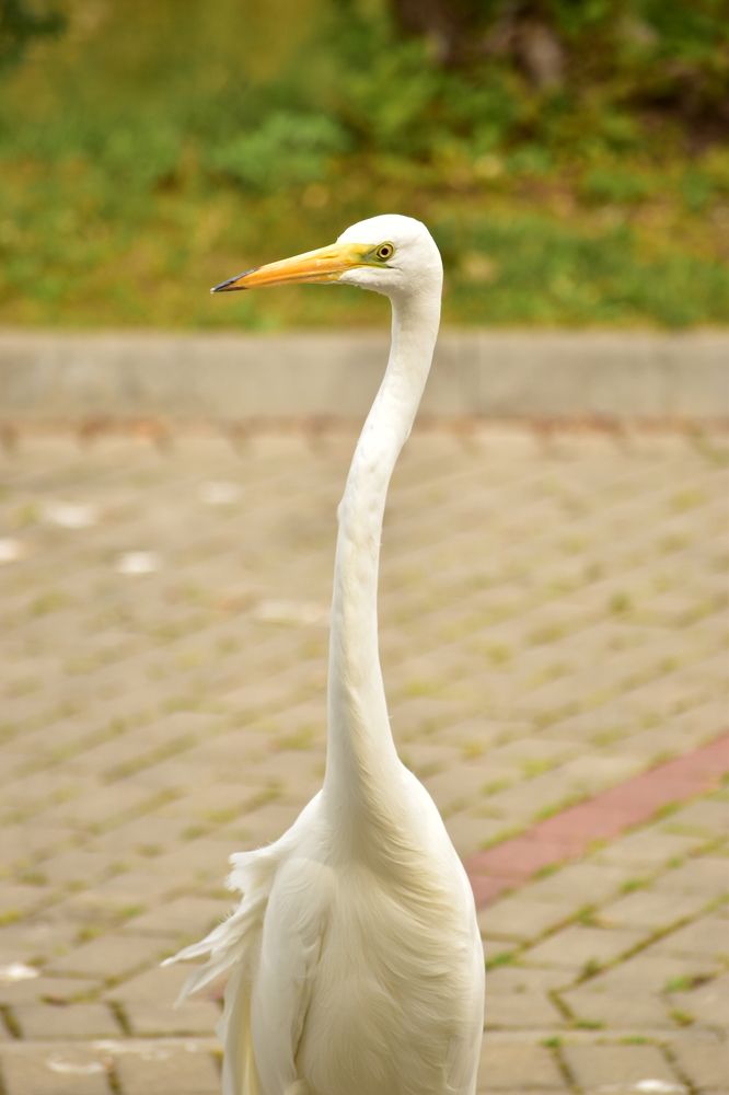 Photograph by Елена Антонова