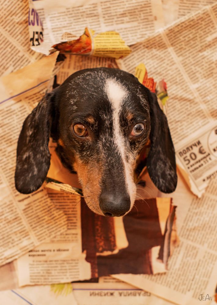 Photograph by Елена Антонова