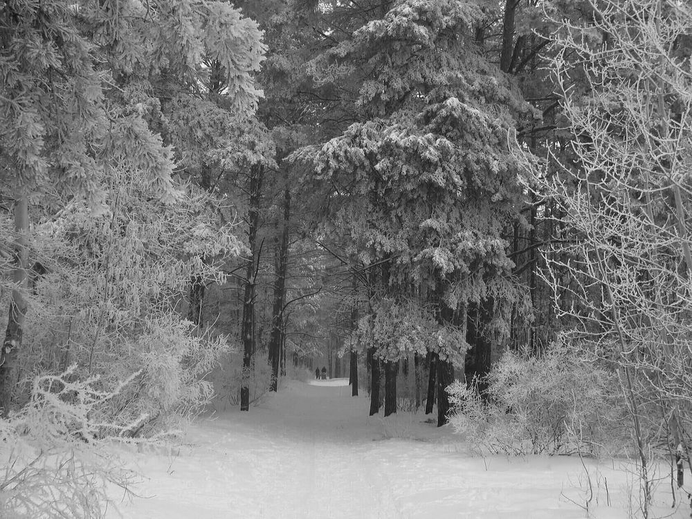 Фотография автора Павел Попов