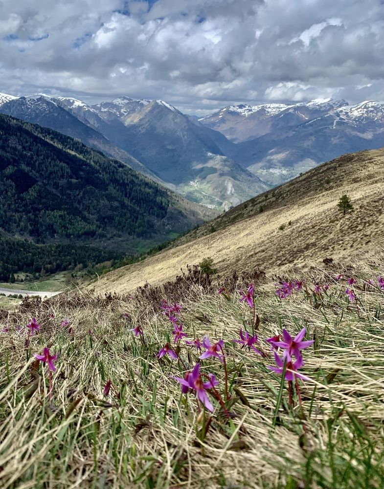 Photograph by Olga Tourtchinovitch