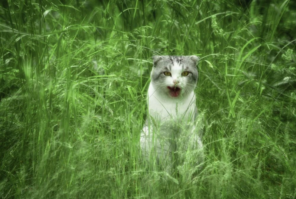 Photograph by Юлия Лушникова