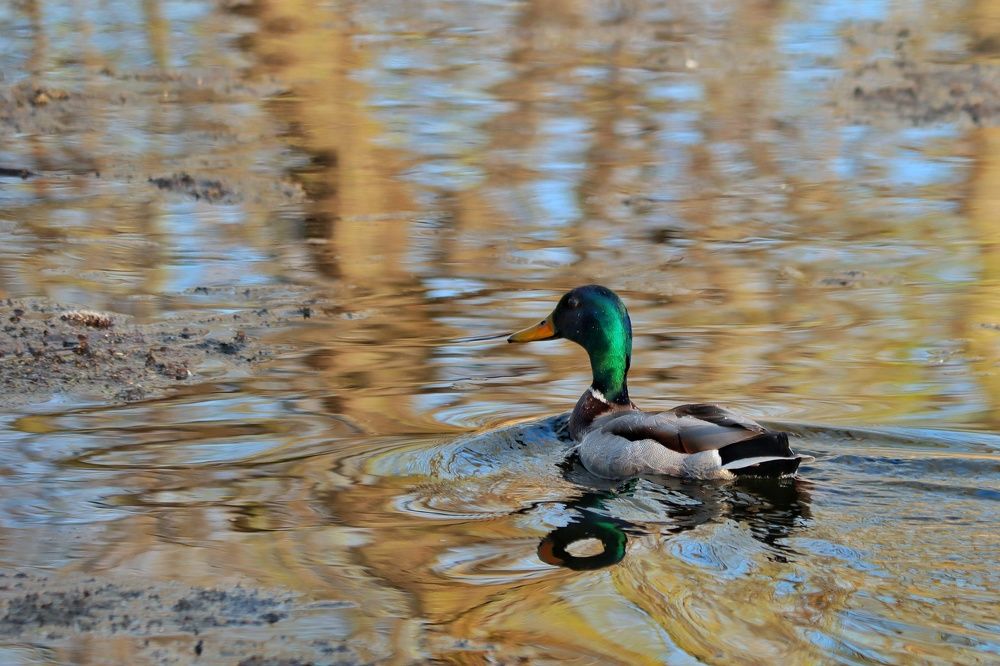 Photograph by Елена