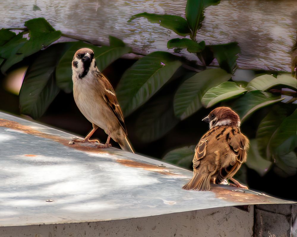 Photograph by Jeremiah Aguilar