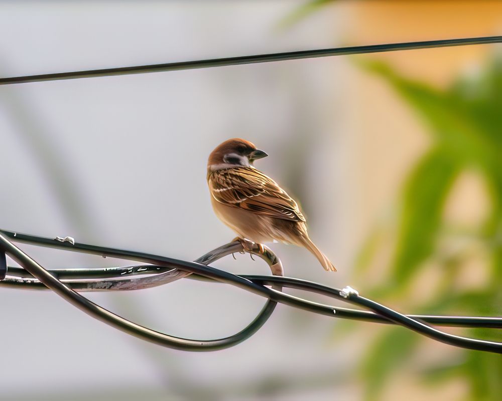 Photograph by Jeremiah Aguilar