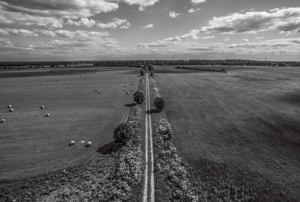 Photograph by Дмитрий Балатский