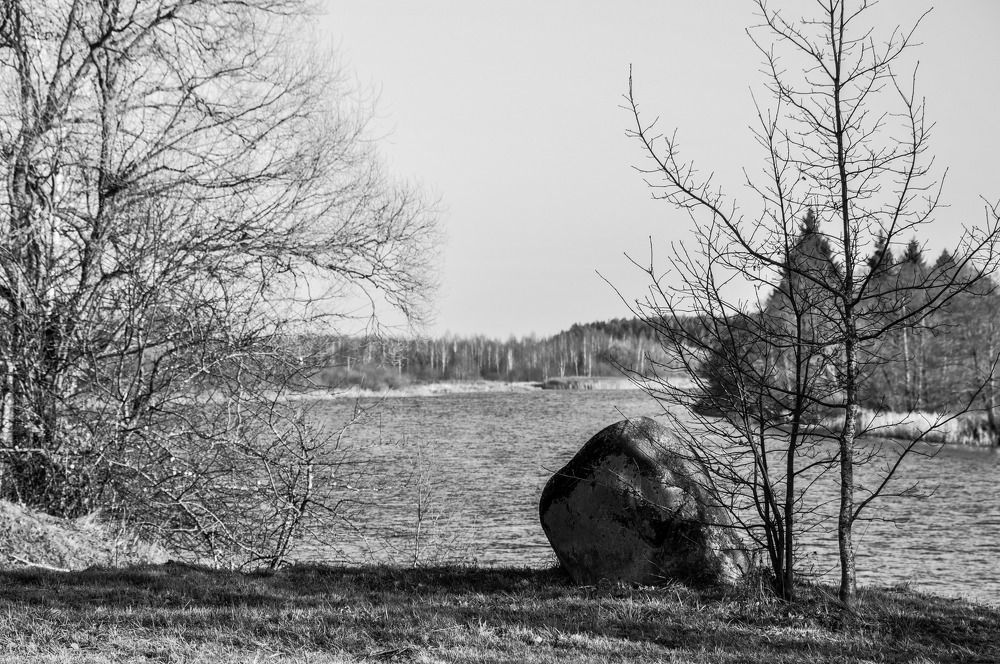 Photograph by Дмитрий Балатский