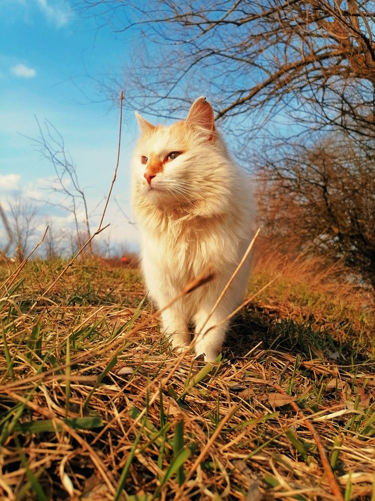 Photograph by Ирина Адлер