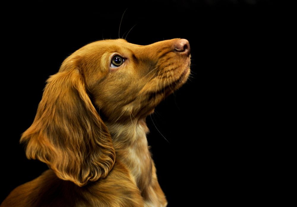 Photograph by Дмитрий Балатский