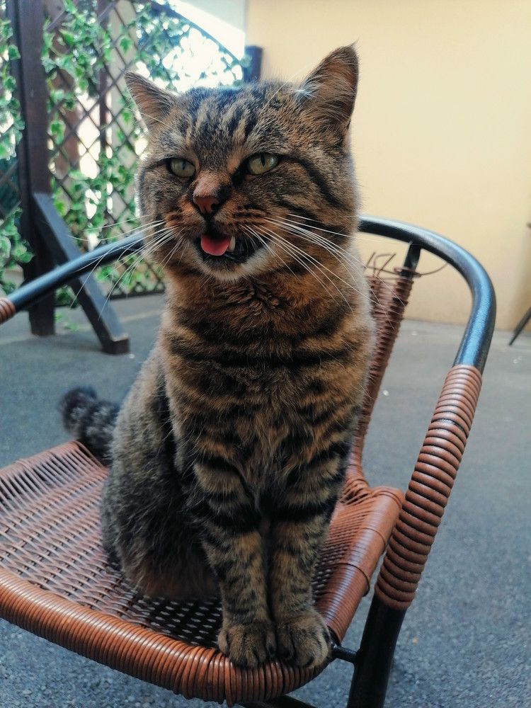 Photograph by Ирина Адлер