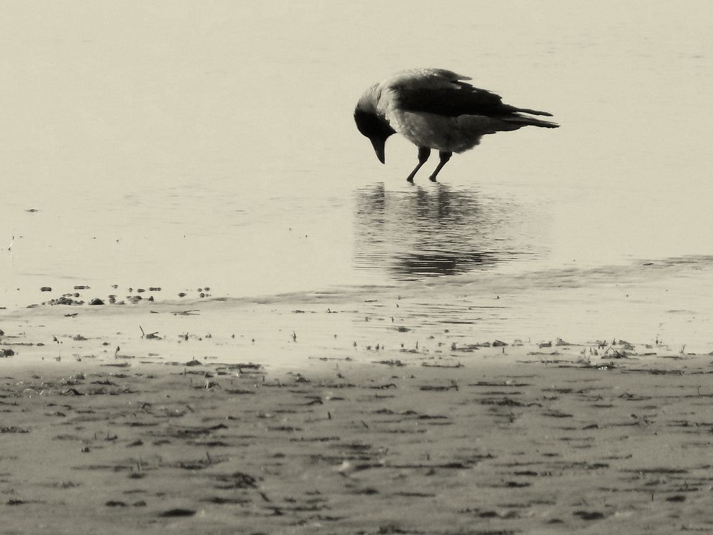 Photograph by Сергей Рудаков