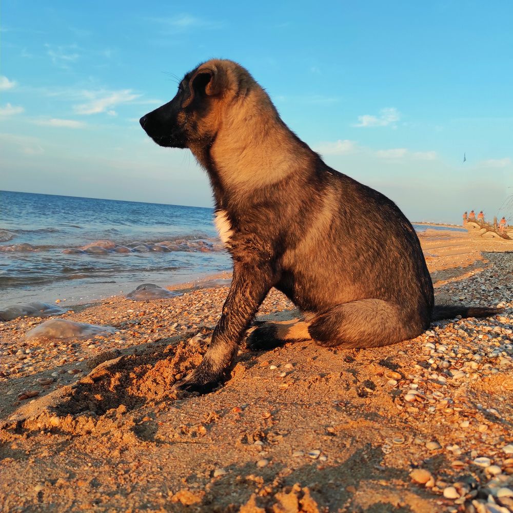 Photograph by Ирина Адлер